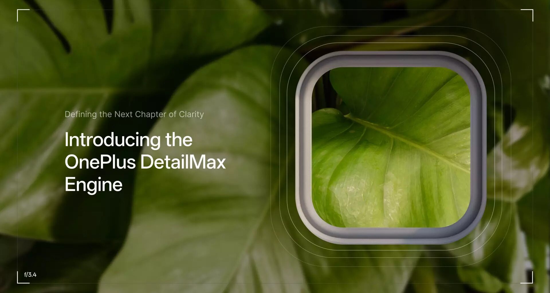 OnePlus DetailMax Engine