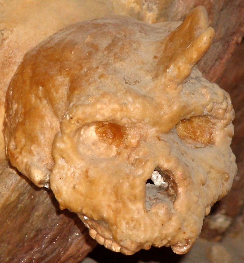 Petralona Skull Covered By Stalagmite