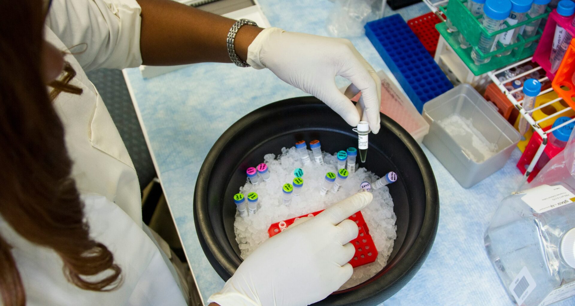 Genetic counseling: A guide for expectant mothers