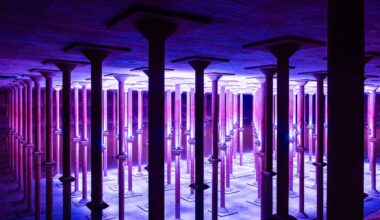 An Insider’s Guide to Houston’s Cultural Scene