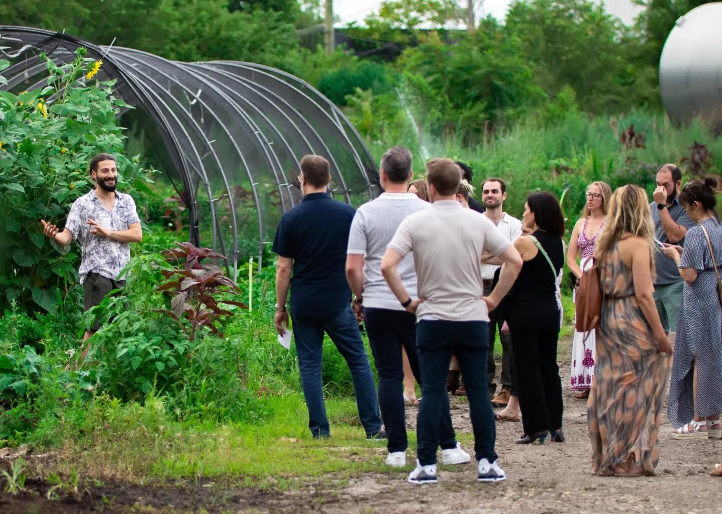 How Closed Loop Farms Became A Microgreens Empire In Chicago