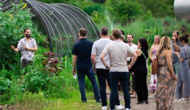 How Closed Loop Farms Became A Microgreens Empire In Chicago
