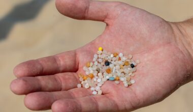 Michigan steps-up scrutiny of microplastic pollution in state waters