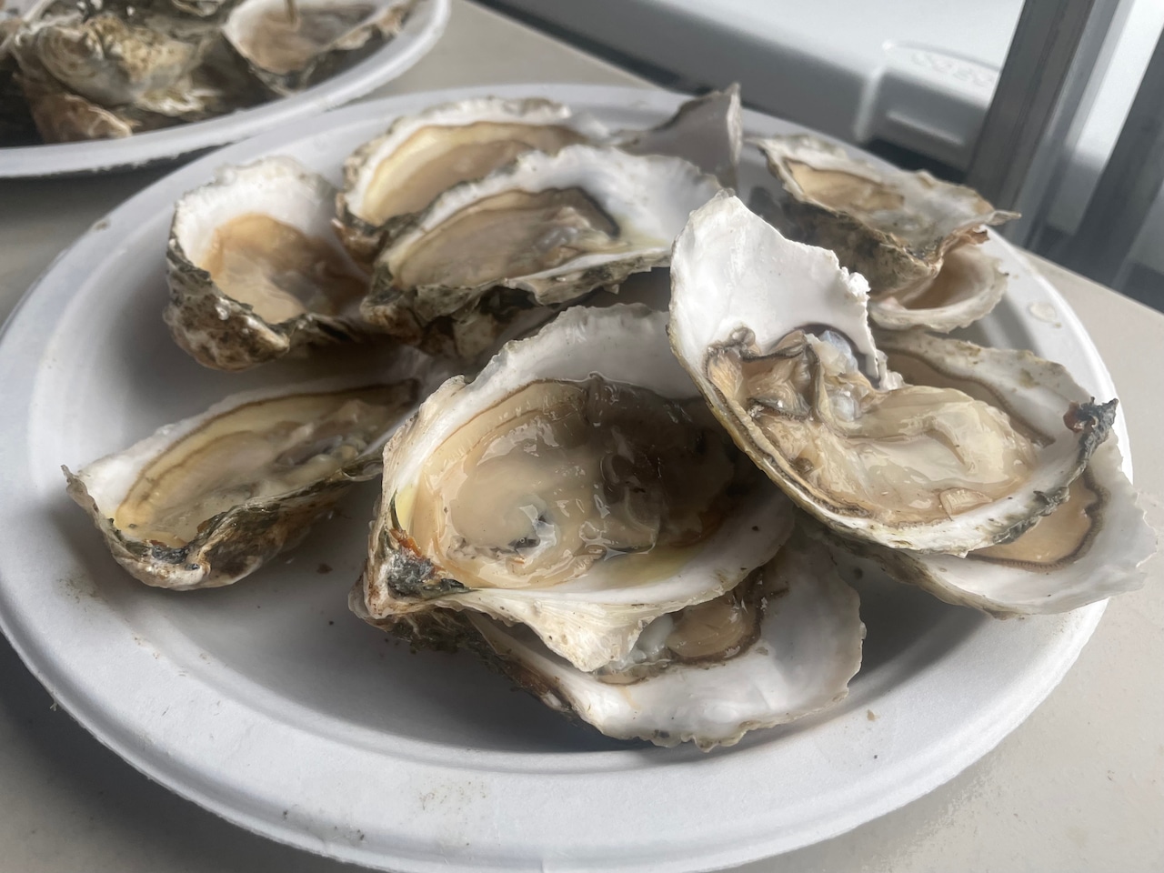Oyster Festival