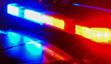 Bitcoin scam, DUIs alleged, and more