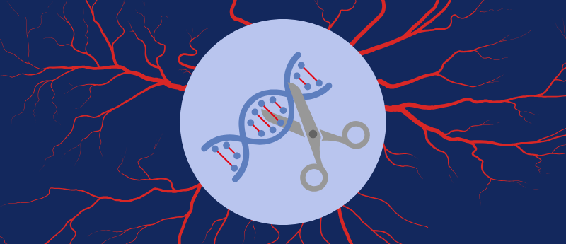 Precision Gene Editing for Rare Vascular Disease