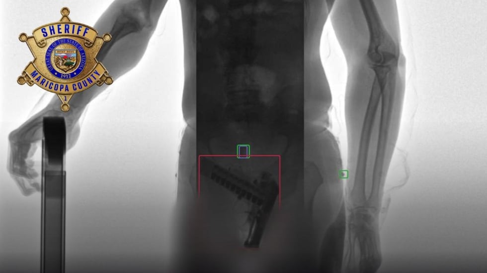 Newly installed body scanners helped jail staff stop an inmate from bringing a concealed gun...