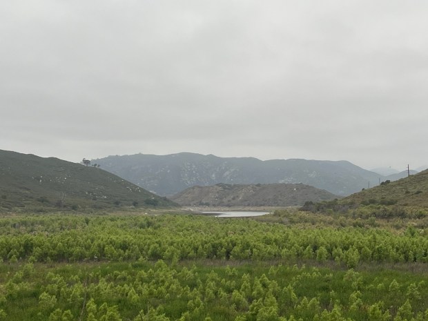 The Lake Hodges lakebed in Rancho Bernardo looking west in May 2025. (Karen Billing)