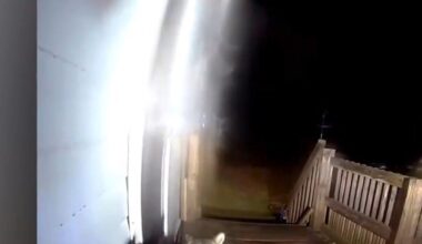 Watch: Raccoon steals package from New York porch