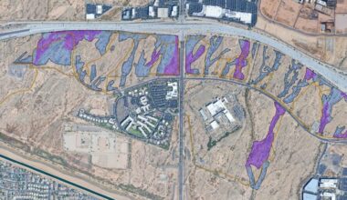 The Arizona Department of Forestry and Fire Management (DFFM) started a new brush fire fuel reducti...
