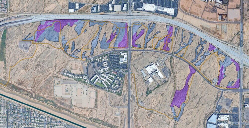 The Arizona Department of Forestry and Fire Management (DFFM) started a new brush fire fuel reducti...