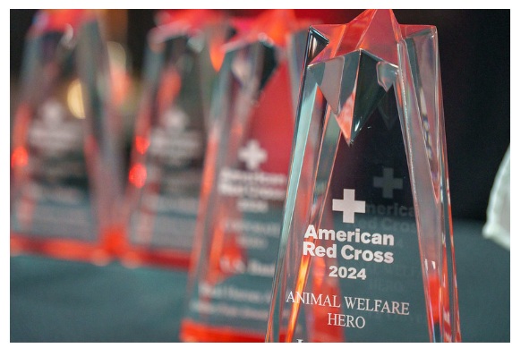 Red Cross, Hero Awars