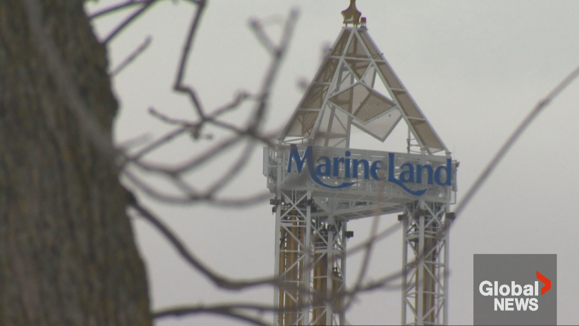 Click to play video: 'Marineland looking to sell amusement rides as Ontario park ‘evolves’'