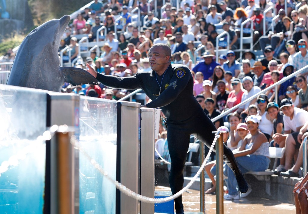 SeaWorld's most senior dolphin trainer is also a San Diego cop