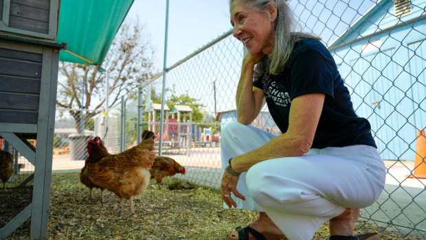 "Mother Hen" Eli Schneider oversees The Hennery, where uninspected eggs from New Hampshire Red chickens are offered to church members for a donation. That generates money to buy commercially produced, inspected eggs to supply the food pantry. (Alejandro Tamayo / The San Diego Union-Tribune)