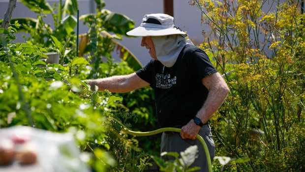 Head gardener and garden chaplain Charles I. Lewis waters in the community garden. (Alejandro Tamayo / The San Diego Union-Tribune)