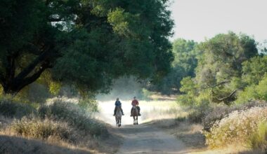 San Diego County’s most exclusive trail is getting a re-route, after years of controversy over nearby eagles – San Diego Union-Tribune
