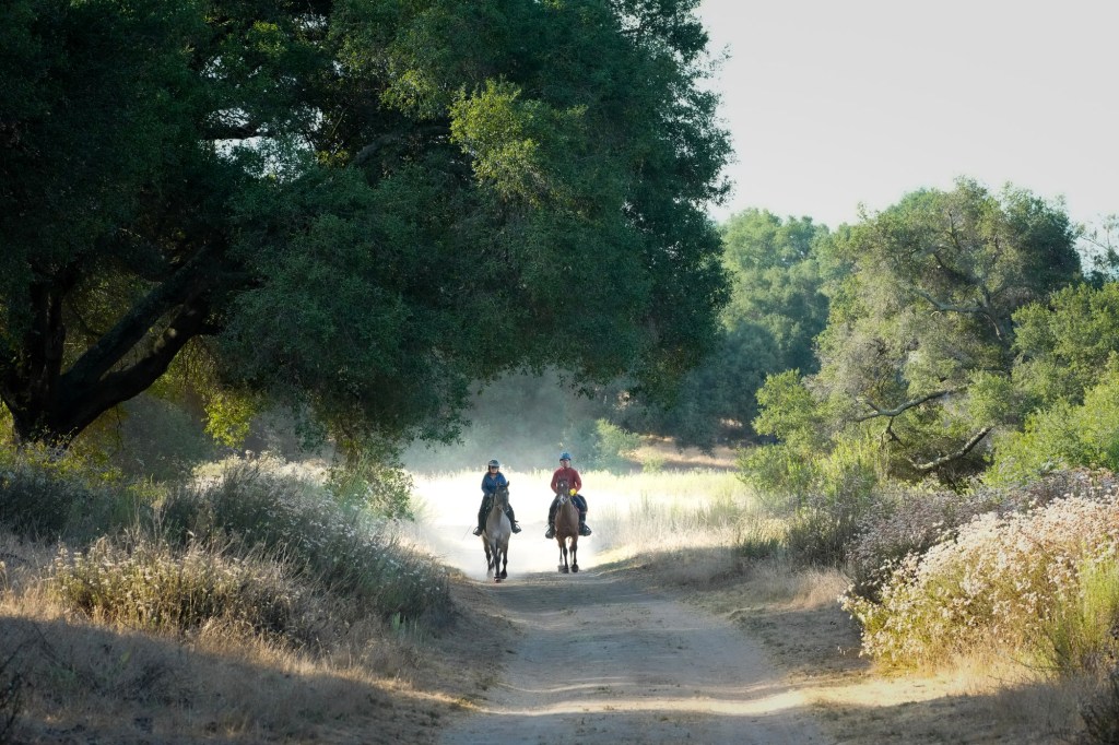 San Diego County’s most exclusive trail is getting a re-route, after years of controversy over nearby eagles – San Diego Union-Tribune