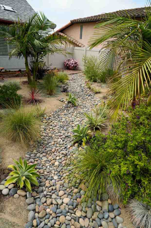 New Guinea impatiens at the far end of the yard. The front yard landscape of Ramona Copley, the 2025 WaterSmart makeover winner for Olivenhain water district in Encinitas on Thursday, Aug. 14, 2025 in San Diego, California. (Alejandro Tamayo / The San Diego Union-Tribune)