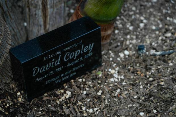 A plaque for David Copley, husband of Ramona. The front yard landscape of Ramona Copley, the 2025 WaterSmart makeover winner for Olivenhain water district in Encinitas on Thursday, Aug. 14, 2025 in San Diego, California. (Alejandro Tamayo / The San Diego Union-Tribune)