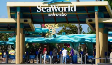 Proposed $25 minimum wage for San Diego tourism workers includes concessions for theme parks, Padres and hotels – San Diego Union-Tribune