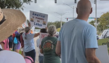 Dozens gather in Southside for ‘No Kings’ protest