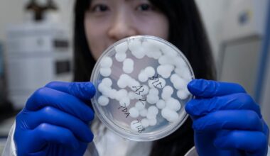 How Philadelphia scientists turn toxic fungi, snake venom, and trees into medicine