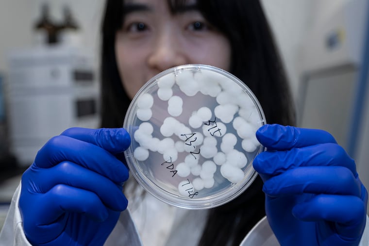 How Philadelphia scientists turn toxic fungi, snake venom, and trees into medicine