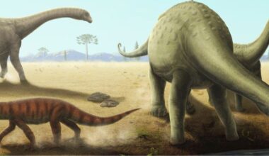 Giant Dinosaurs Were Riddled With a Devastating Disease, Fossils Show : ScienceAlert