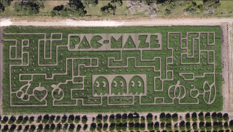 an aerial shot of a large corn maze with a Pac Man theme