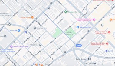 Subdivision Review Committee votes to allow Oak Street to keep its name