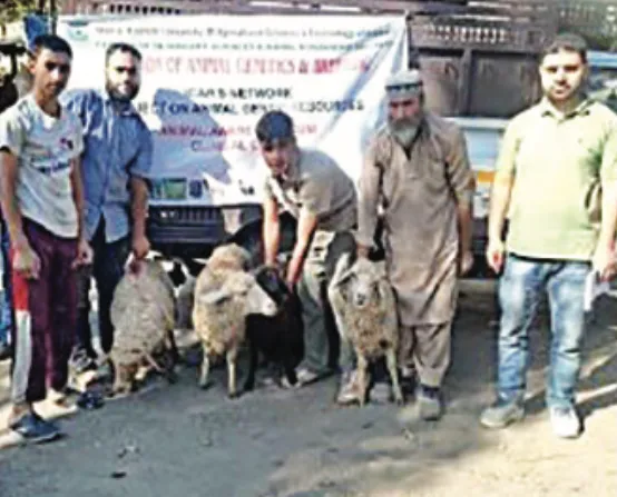 SKUAST-K establishes 5 improved sheep units in Gurez