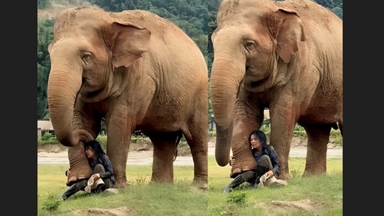 An elephant hugged a woman as she sang for it.(Instagram/lek_chailert)