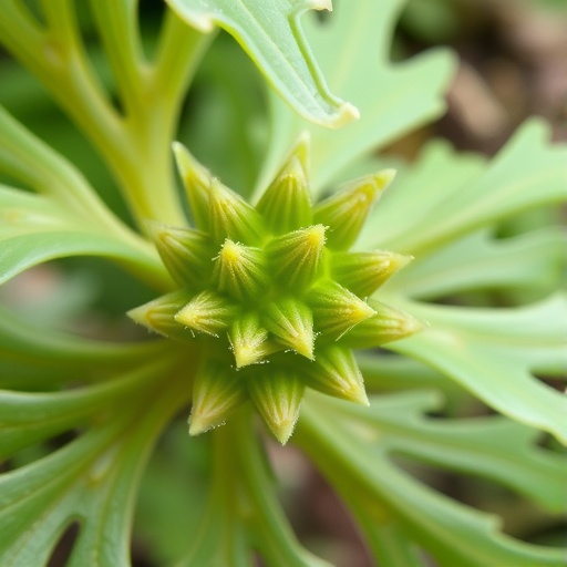 SnRK Gene Family in Caragana: Drought and Nitrogen Impact