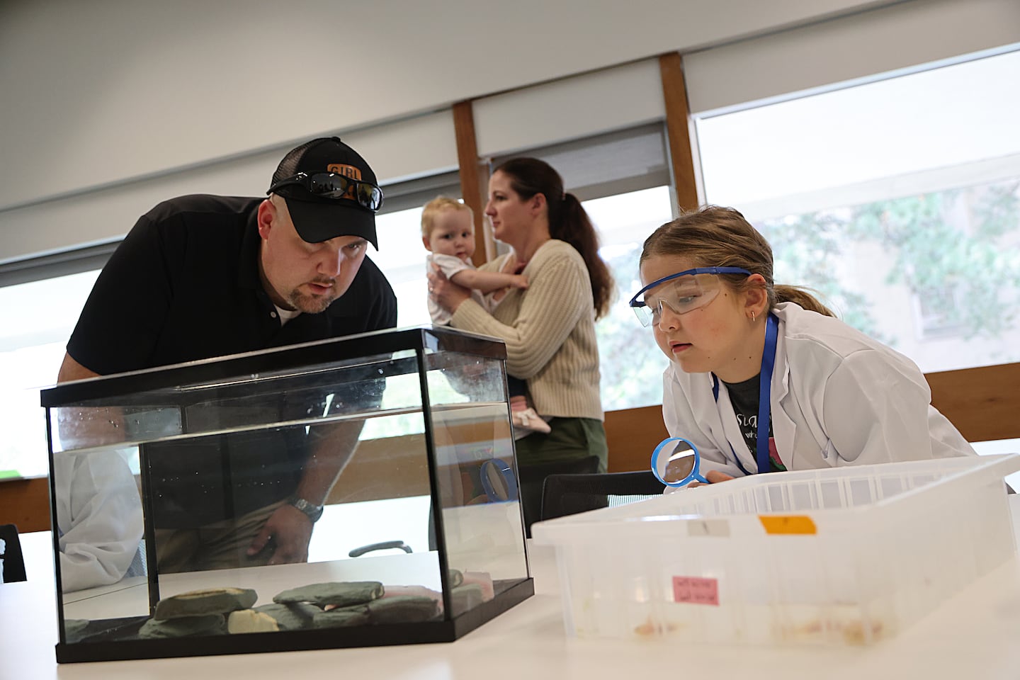 Six-year-old Marianne Cullen examines axolotls in the Harvard lab of Jessica Whited on Sept. 15, 2025. At left is her father, Robert Cullen, baby sister Emmaline Cullen, and mother Kat Demetrion. Marianne loves the salamanders and raised $1,000 to support the lab's work.