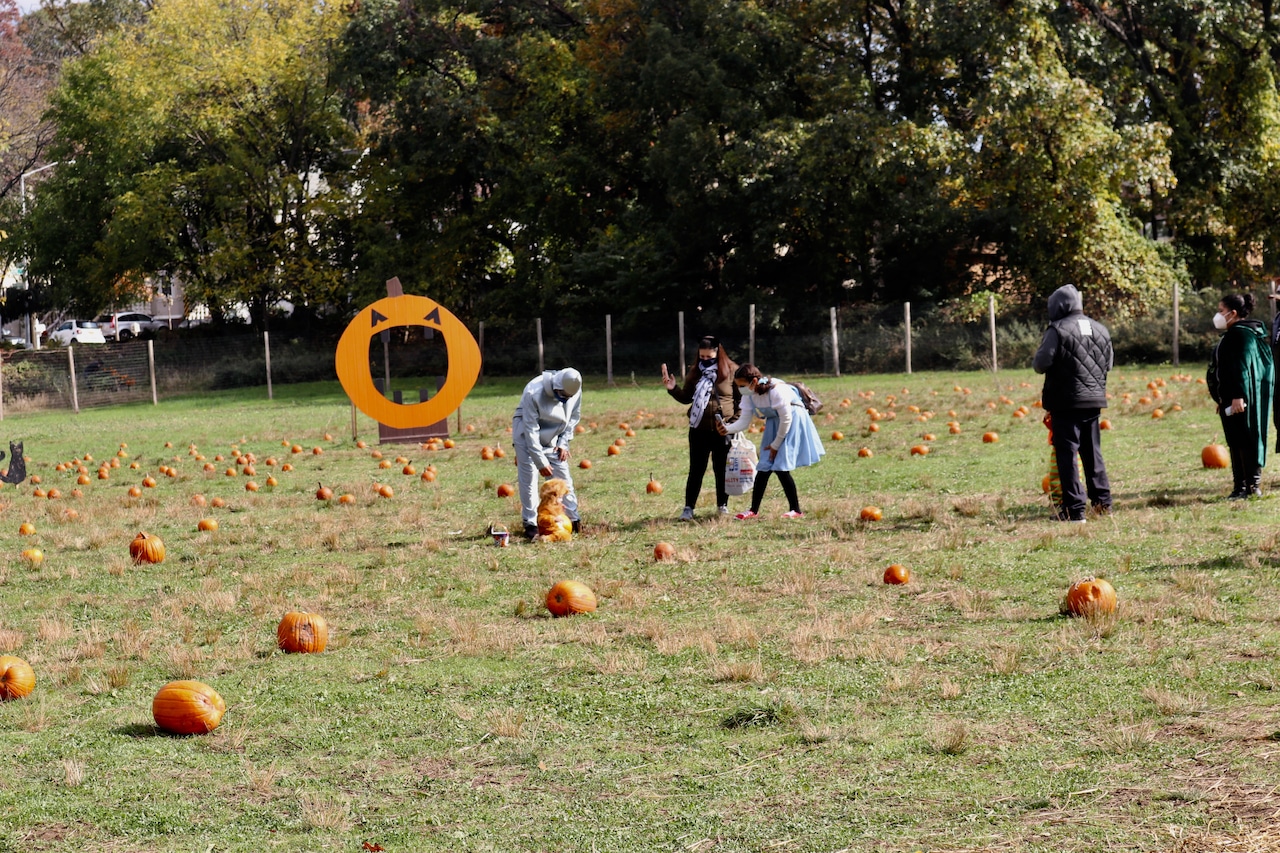 Halloween at Historic Richmond Town's Decker Farm