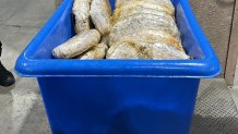 Image shared by the U.S. Customs and Border Protection San Diego Field Office showing a drug seizure made in the month of Aug. 2025 at the Tecate Port of Entry. 