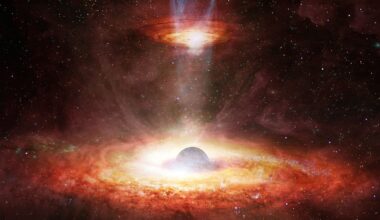 Twin Black Holes