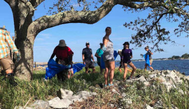 Timucuan Parks Foundation requests volunteers for 2025 International Coastal Cleanup