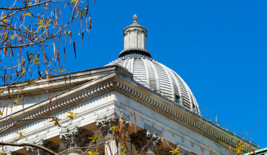 How AI is transforming research into rare dementias