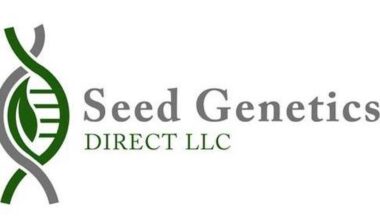 Winners announced in wheat yield contest – AgriNews