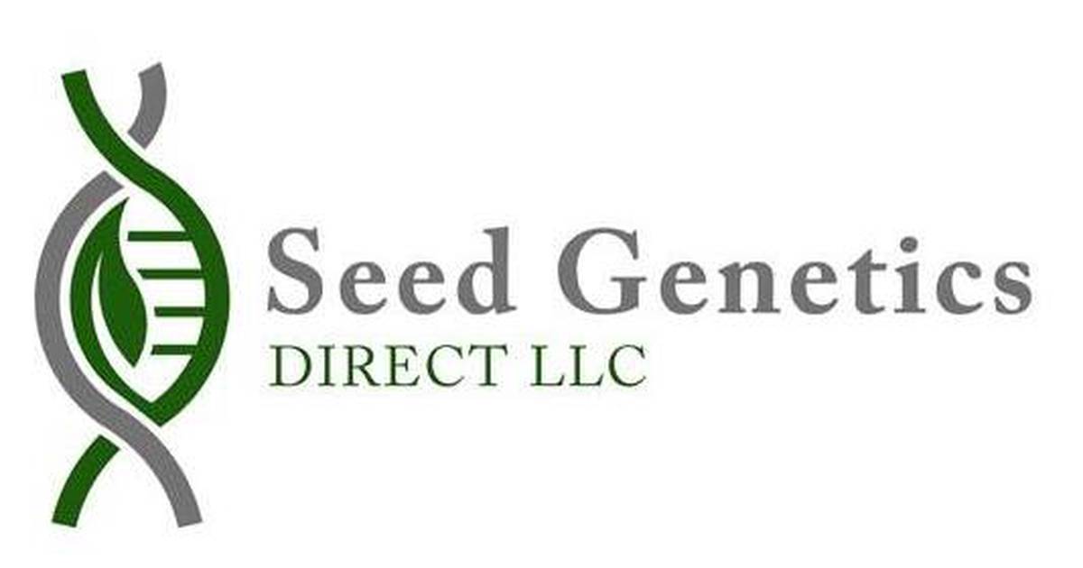 Winners announced in wheat yield contest – AgriNews