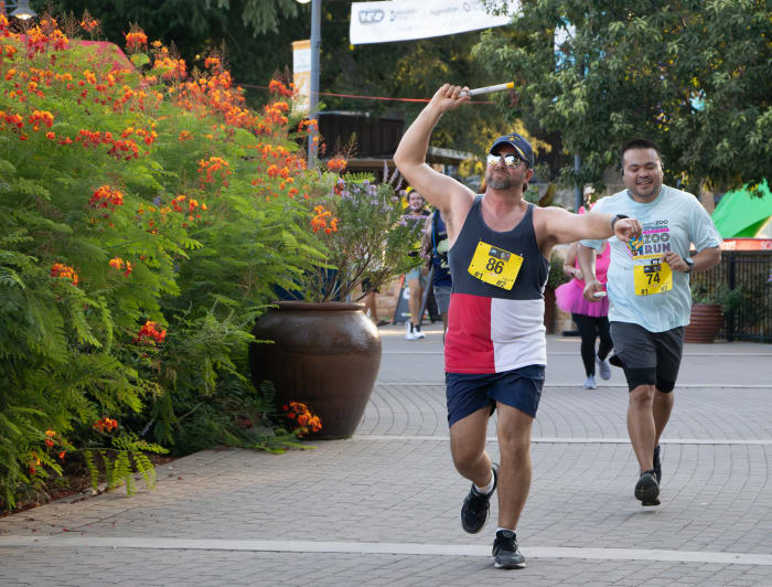 40th annual Zoo Run, World Heritage Festival, Shein pop-up store