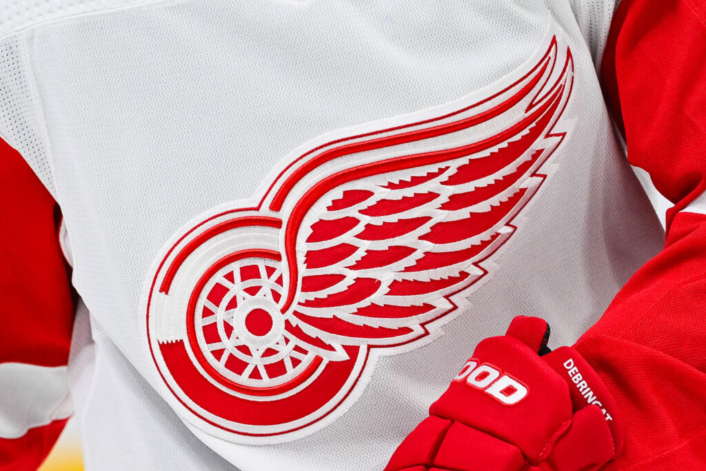 Which Defensemen Should The Red Wings Target?
