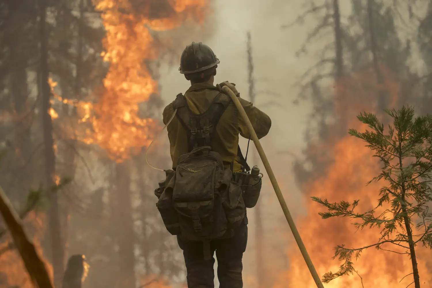 California firefighters battling wildfires
