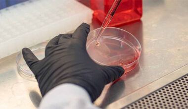 UT Dallas Researchers ‘Barcode’ Engineered Cells with Patent-Pending Tech to Protect Biotech IP » Dallas Innovates