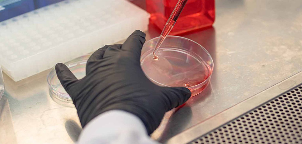 UT Dallas Researchers ‘Barcode’ Engineered Cells with Patent-Pending Tech to Protect Biotech IP » Dallas Innovates