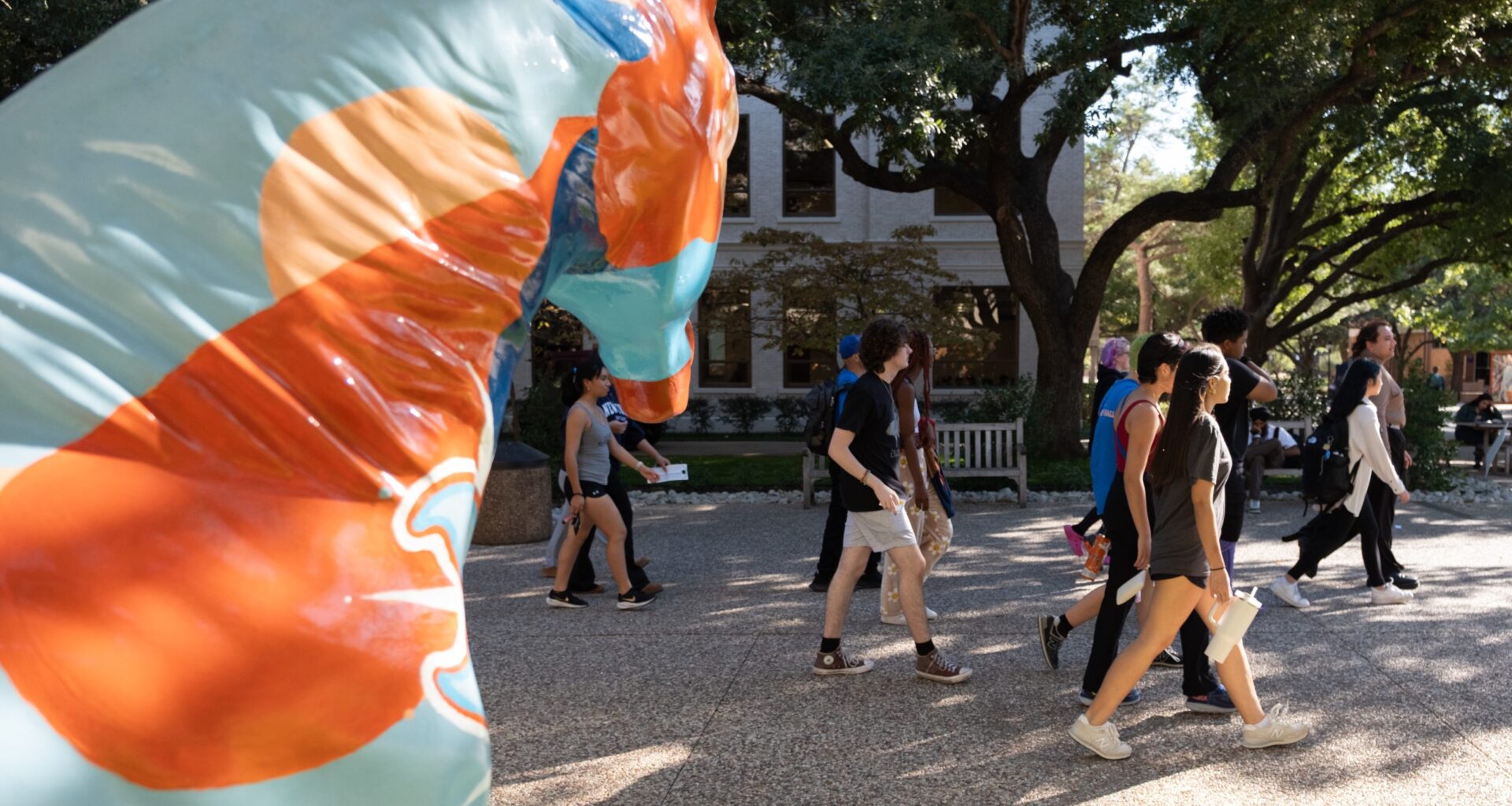 Tarrant County higher education institutions respond to Texas law limiting faculty senates