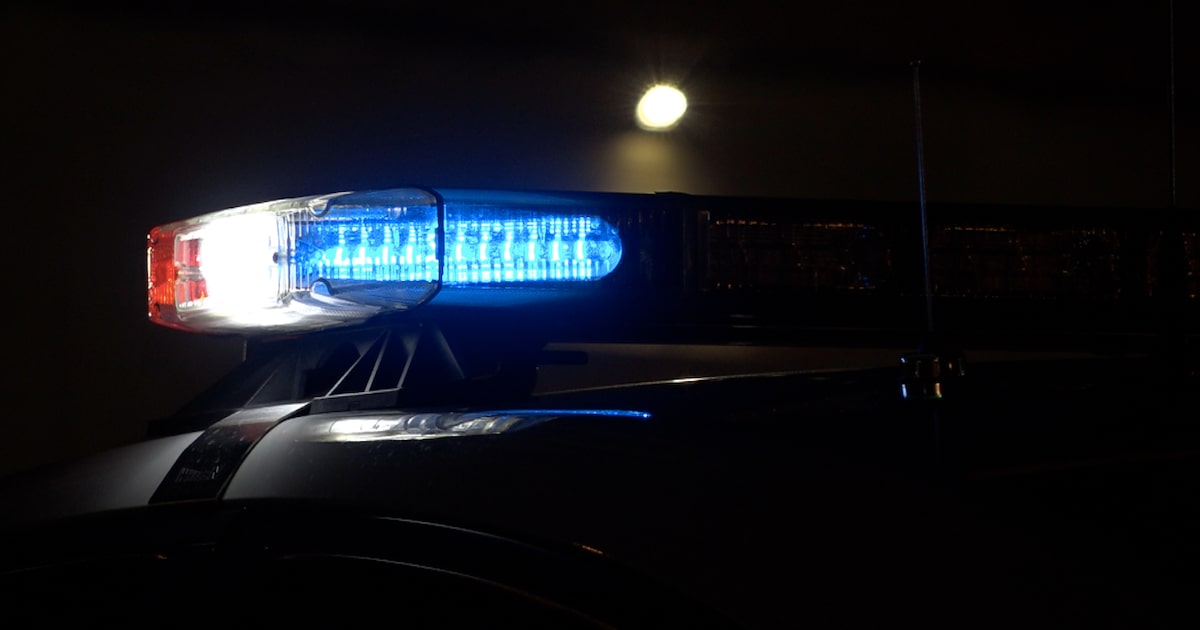 3 shot in Pleasant Grove early Sunday morning, Dallas police say