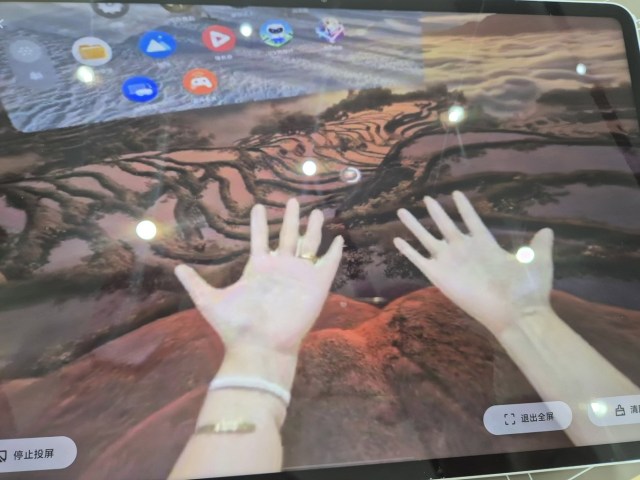 vivo vision segmented hands
